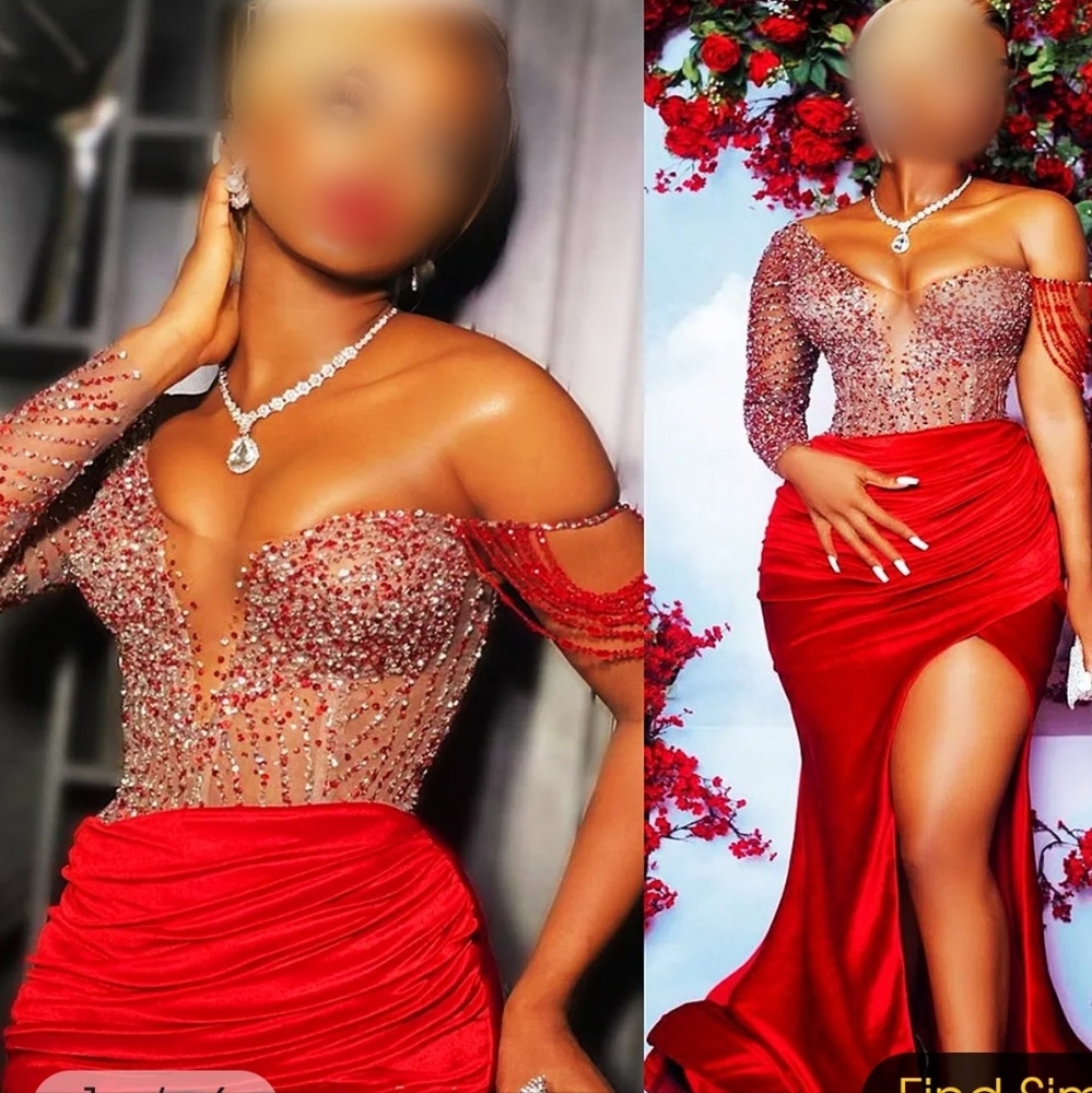 Bnwt (XL) sheer bodice w/gems in fish style gown w/1 shoulder + carry bag $259